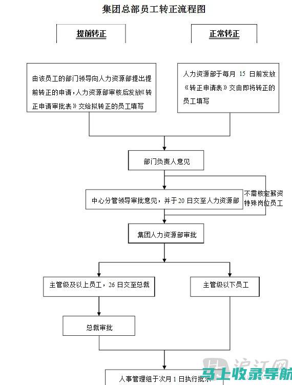 从初任到转正，乡镇统计站长的工作蜕变与成长之路